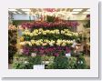 0601aBirdFlowerMarket - 12